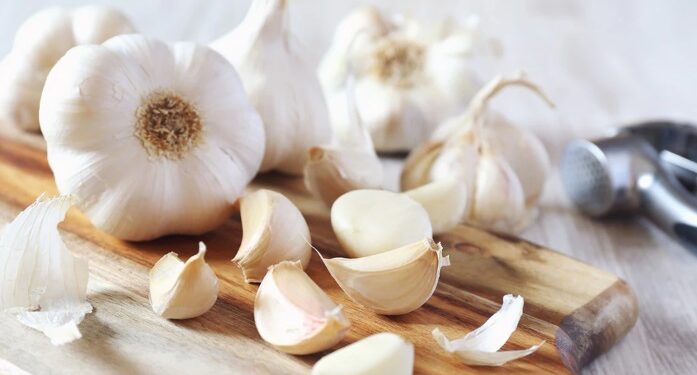 Garlic