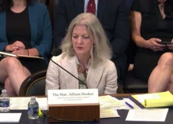 Diplomat Allison Hooker