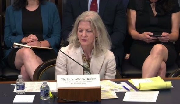 Diplomat Allison Hooker