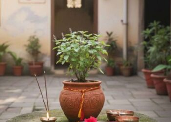 tulsi puja