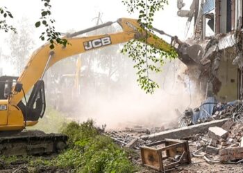 Bulldozer Action on Birch