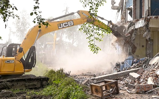 Bulldozer Action on Birch