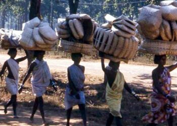 tribal schemes in india