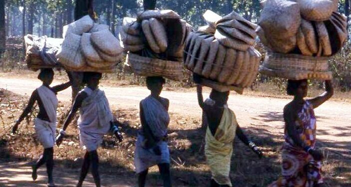 tribal schemes in india