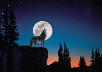 wolf moon