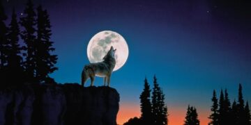 wolf moon