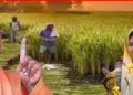 Paddy Procurement Exceeds target, CM Yogi Govt pays ₹14,886 crore to Farmers
