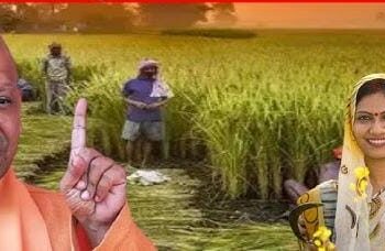 Paddy Procurement Exceeds target, CM Yogi Govt pays ₹14,886 crore to Farmers