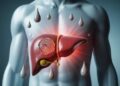 liver
