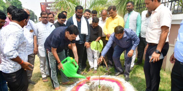 “Trees are the foundation of life, Plant More and More Trees: Minister A.K. Sharma”