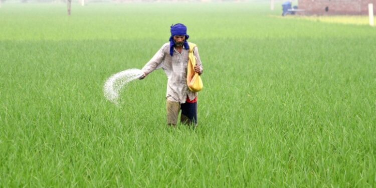 Kharif crops
