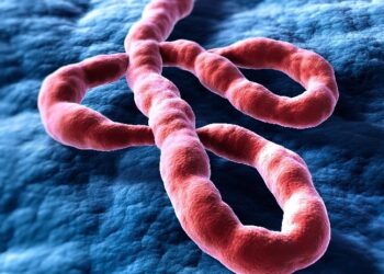 Ebola