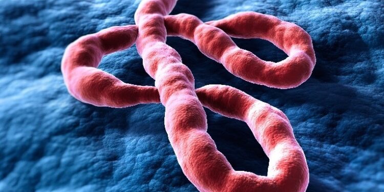 Ebola