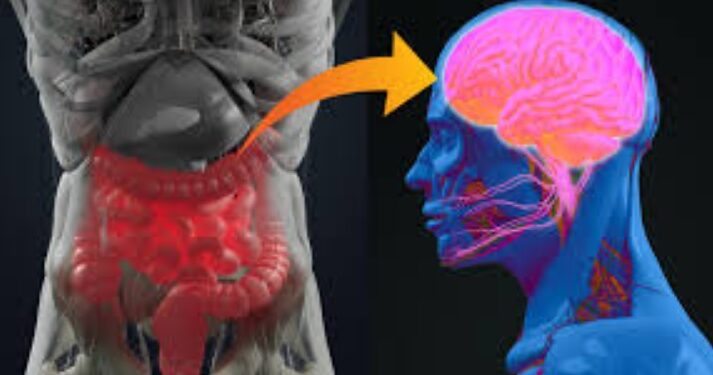 gut-brain axis wellness