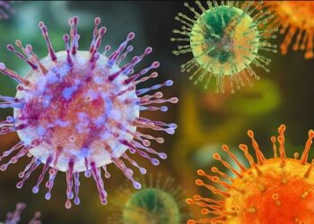Hantavirus