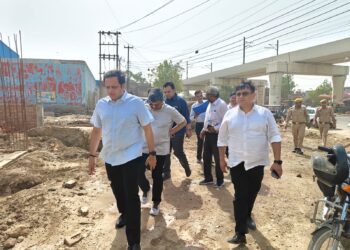 Action Will Be Taken if Unnecessary Debris Is Found Along Roadsides: Municipal Commissioner