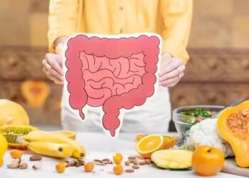 digestion