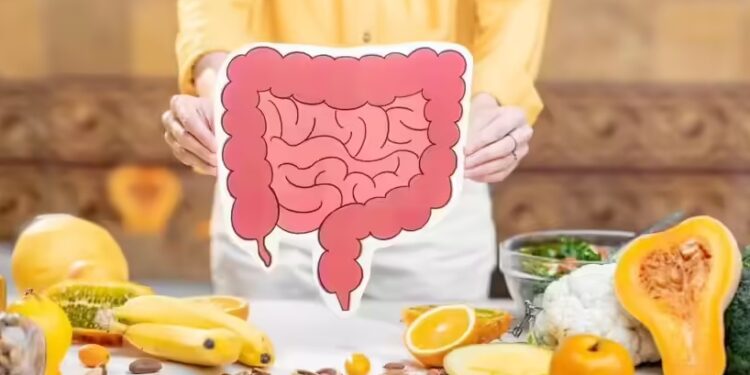 digestion