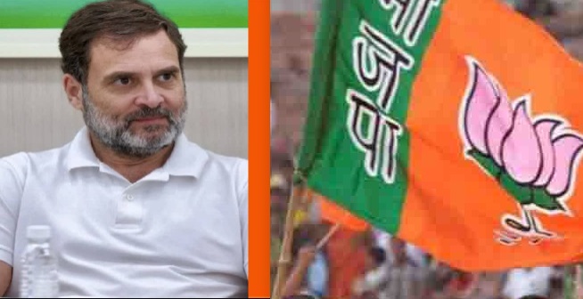 BJP Rebuts Rahul Gandhi