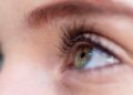 eyes