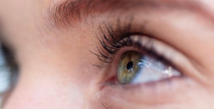 eyes
