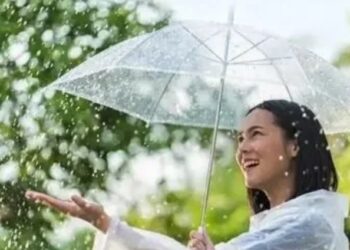 monsoon wellness
