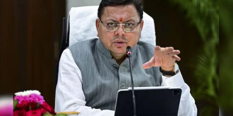 cm dhami