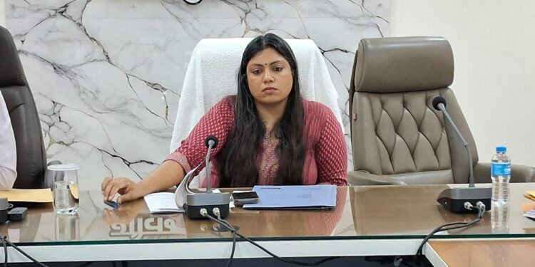 Interdepartmental Meeting on Communicable Disease Control and Dastak Campaign Held Under the Chairmanship of the DM