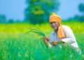 Agriculture Department Issues Special Advisory for Farmers in View of Abnormal Climatic Conditions