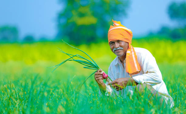 Agriculture Department Issues Special Advisory for Farmers in View of Abnormal Climatic Conditions