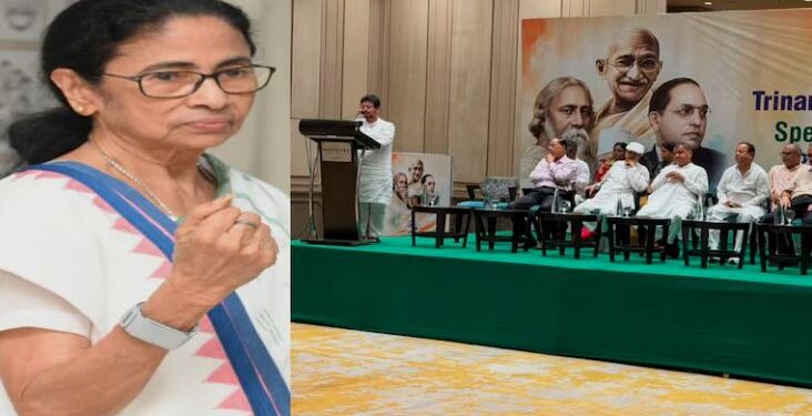 Biggest political earthquake in TMC: Rebel MLAs remove Mamata Banerjee as party president, what happens next?