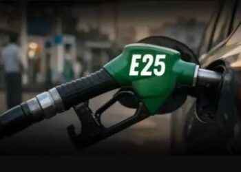 e25 petrol