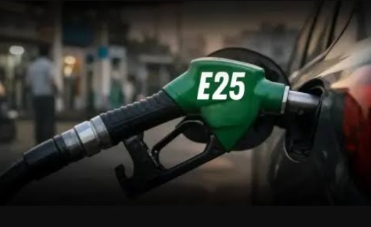 e25 petrol