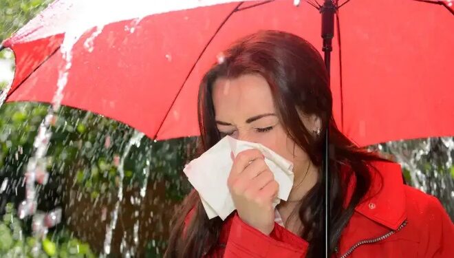 Immunity Rainy Season