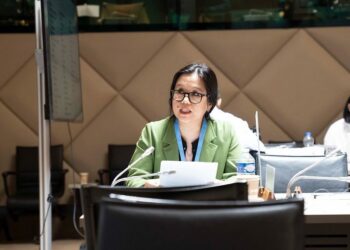 India Development Model Showcased on the Global Stage