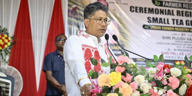 New Chapter for Small Tea Farmers In Assam