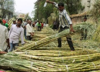 ganna kisan