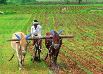 Yogi Govt Export Policy directly benefits farmers, creates new wave of Investment