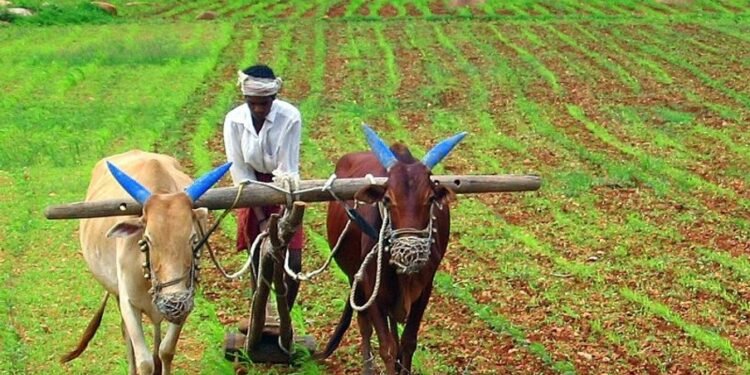 Yogi Govt Export Policy directly benefits farmers, creates new wave of Investment