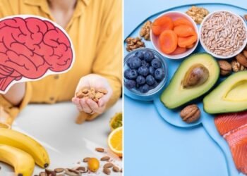 nutrients your brain