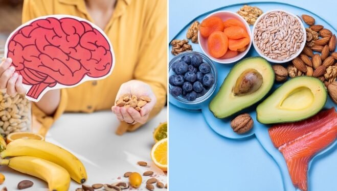 nutrients your brain