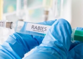 vaccines as fake rabies