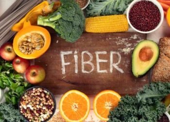fibre