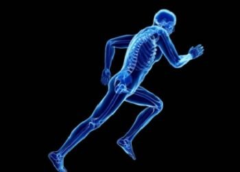 Bone Strength