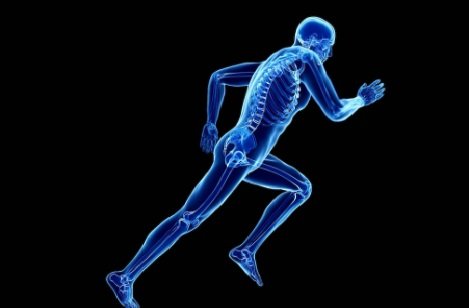 Bone Strength