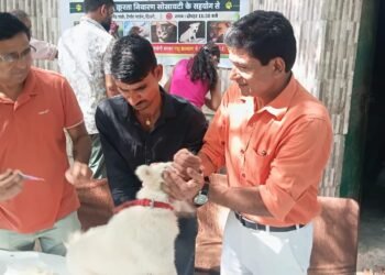 Free Rabies Vaccination and Treatment Camp Held on World Animal Day