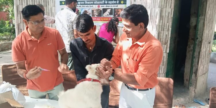 Free Rabies Vaccination and Treatment Camp Held on World Animal Day